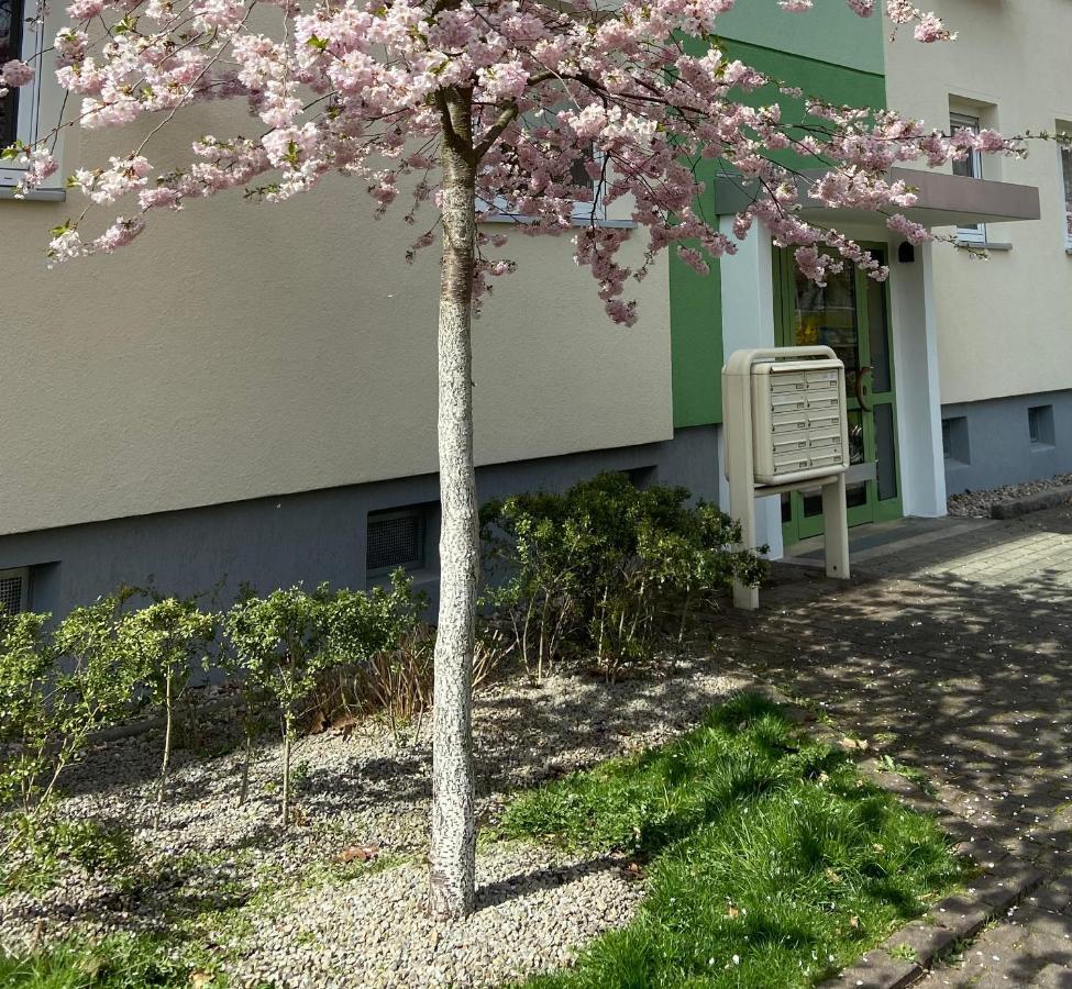 Schoene Kleine Wohnung 科特布斯 外观 照片